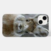 Murugi Zubehör Case Mate selten gibt Apple (Rückseite (Horizontal))