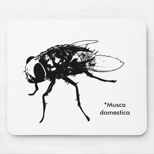 Musca domestica mousepad (Vorne)