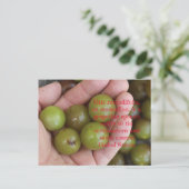 Muscadine aus Zuhause Garden - Postkarte (Stehend Vorderseite)