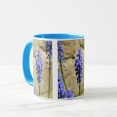 Muscari Grape Hyacinth Tasse (Vorderseite Links)