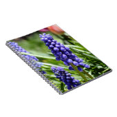 Muscari-Notebook (Trauben-Hyazinthen) Notizblock (Rechte Seite)