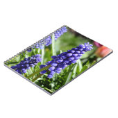 Muscari-Notebook (Trauben-Hyazinthen) Notizblock (Linke Seite)