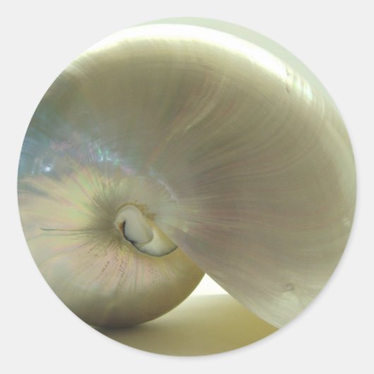 Muschel #1 runder aufkleber (Vorderseite)