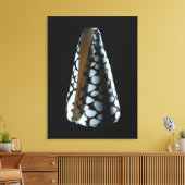 MUSCHEL 2 LEINWANDDRUCK (Insitu (Wohnzimmer))