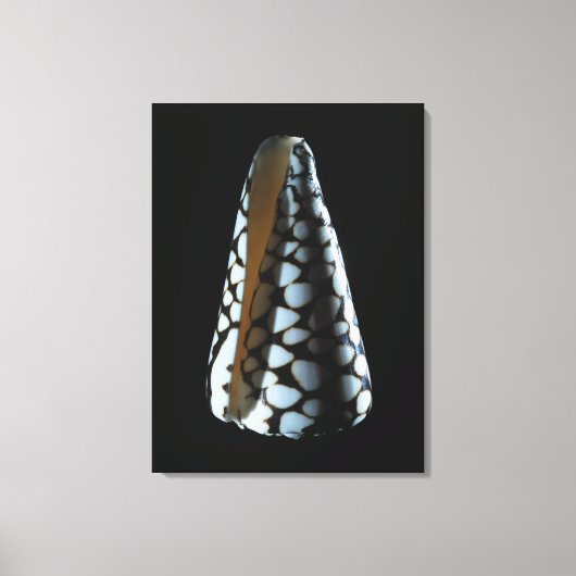 MUSCHEL 2 LEINWANDDRUCK (Vorderseite)