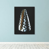 MUSCHEL 2 LEINWANDDRUCK (Insitu (Holzboden))