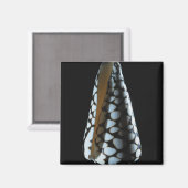 MUSCHEL 2 MAGNET (Vorderseite/Rückseite)