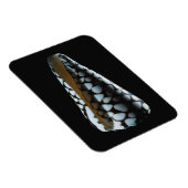 MUSCHEL 2 MAGNET (Rechte Seite)