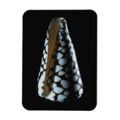 MUSCHEL 2 MAGNET (Vertikal)