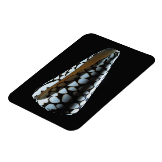 MUSCHEL 2 MAGNET (Linke Seite)