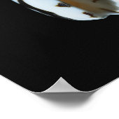 MUSCHEL 2 POSTER (Ecke)