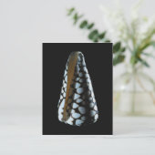 MUSCHEL 2 POSTKARTE (Stehend Vorderseite)