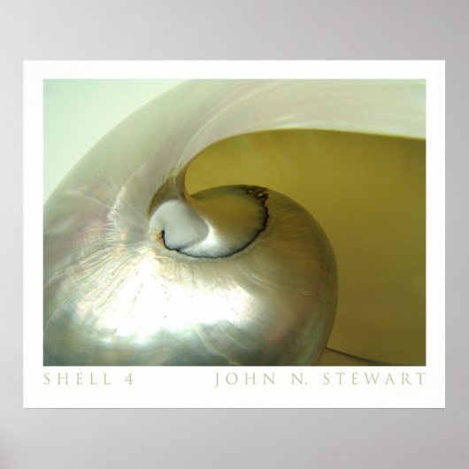 Muschel #4 poster (Vorne)
