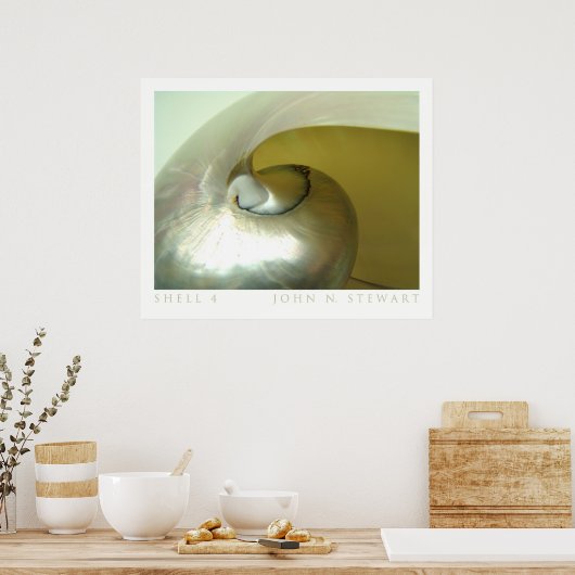 Muschel #4 poster (Küche)
