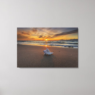 Muschel am Strand bei Sonnenuntergang | Insel Kos Leinwanddruck