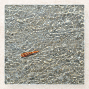 Muschel am Strand Glasuntersetzer