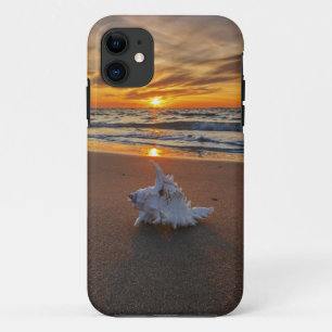 Muschel am Strand in Insel des Sonnenuntergang- Case-Mate iPhone Hülle