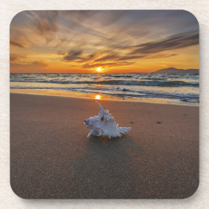 Muschel am Strand in Insel des Sonnenuntergang- Getränkeuntersetzer