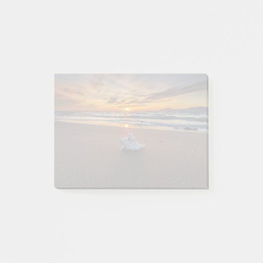 Muschel am Strand in Insel des Sonnenuntergang-| Post-it Klebezettel (Vorderseite)