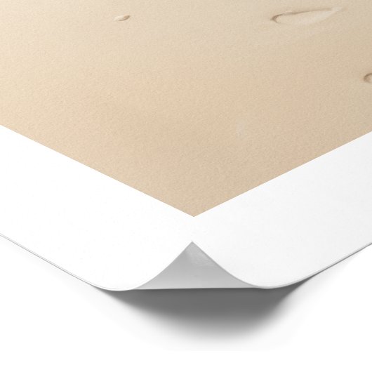 Muschel am Strand Poster (Ecke)