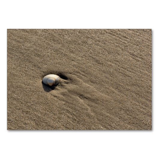 Muschel am Strand Tischnummer (Rückseite)