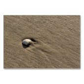 Muschel am Strand Tischnummer (Vorderseite)