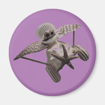 Muschel Art Flugzeug