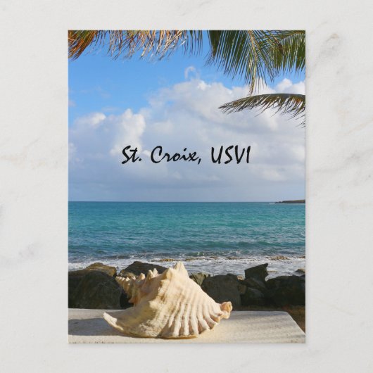 Muschel auf See Postkarte (Vorderseite)