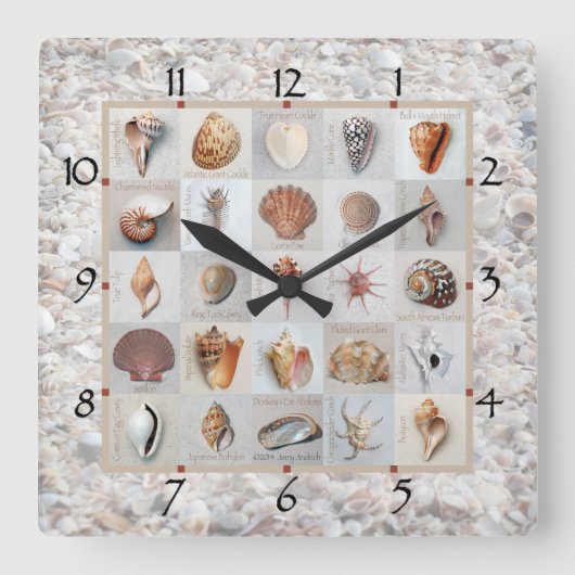 Muschel Beach Clock Quadratische Wanduhr (Vorderseite)
