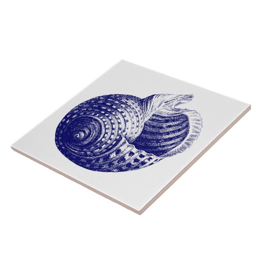 Muschel Blau und Weiß Fliese (Seite)