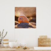 Muschel Bokeh |Griechenland Poster (Küche)
