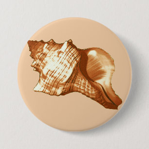 Muschel - braun, weiß und braun button