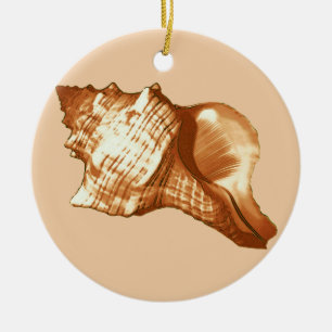 Muschel - braun, weiß und braun keramikornament