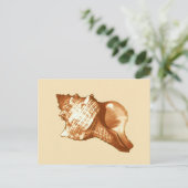 Muschel - braun, weiß und braun postkarte (Stehend Vorderseite)