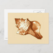 Muschel - braun, weiß und braun postkarte (Vorne/Hinten)