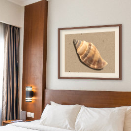 Muschel Braune und Tan Strip Conch Poster