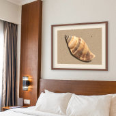 Muschel Braune und Tan Strip Conch Poster