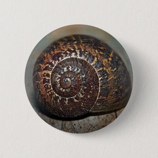 Muschel Button (Vorderseite)