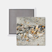 Muschel-Cache Magnet (Vorderseite/Rückseite)