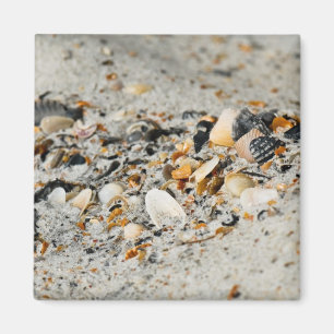 Muschel-Cache Magnet