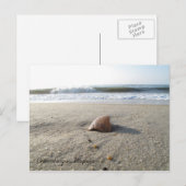 Muschel Chincoteague, Virginia Postkarte (Vorne/Hinten)