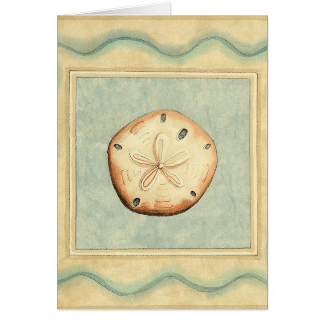 Muschel Collector (Vorne)