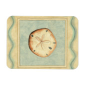 Muschel Collector Magnet (Horizontal)