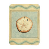 Muschel Collector Magnet (Vertikal)