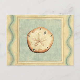 Muschel Collector Postkarte