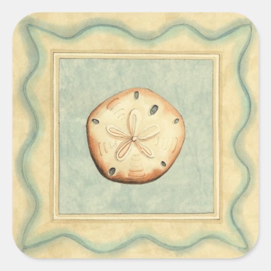 Muschel Collector Quadratischer Aufkleber (Vorderseite)