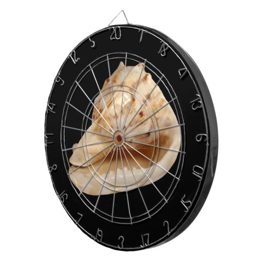 Muschel Dartscheibe (Vorderseite rechts)