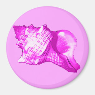 Muschel des Conchs - Orchideen und Weiß Magnet