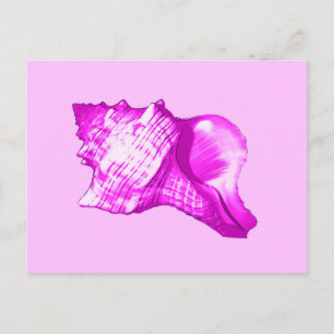 Muschel des Conchs - Orchideen und Weiß Postkarte