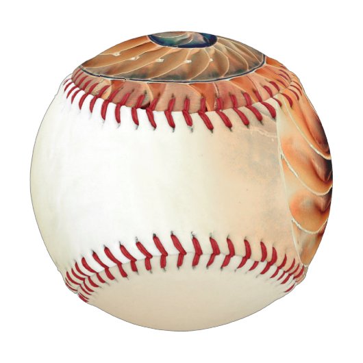 Muschel des Lebens Baseball (Vorderseite)